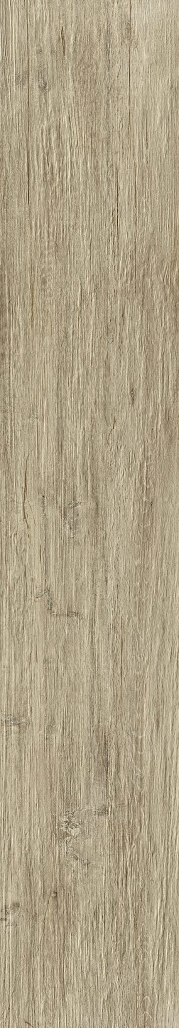 CHALET HONEY 12X48