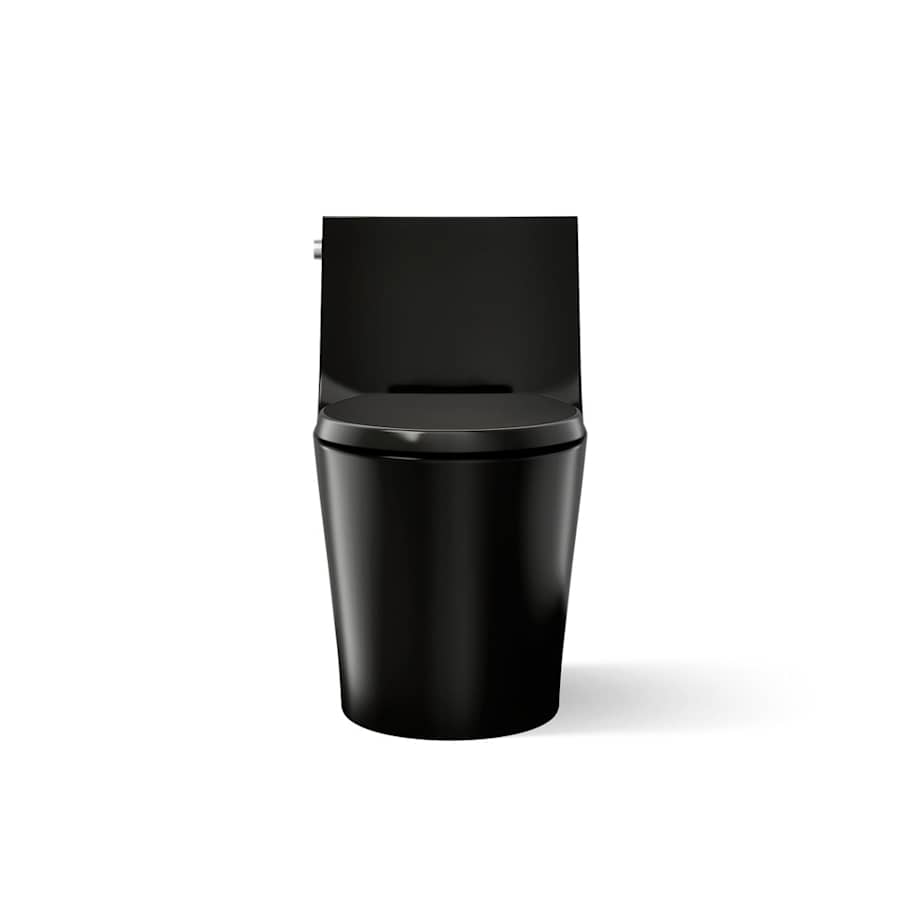 Veil One-piece Elongated Dual-Flush Toilet with Skirted Trapway