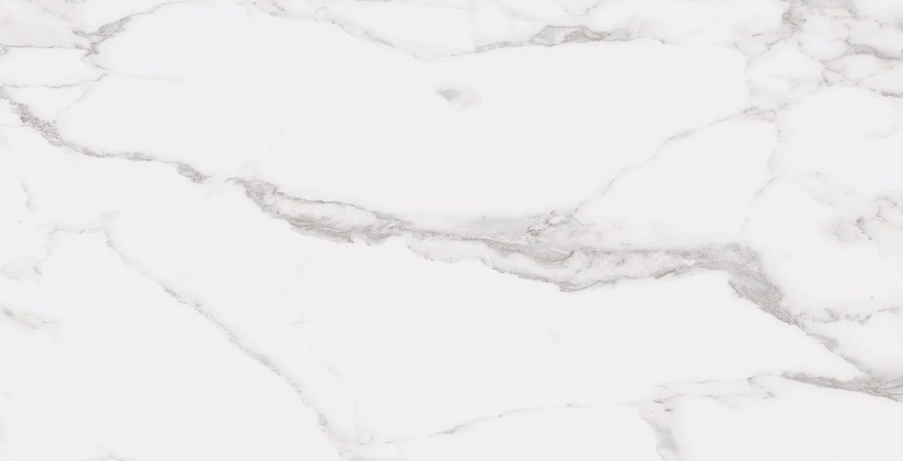 STATUARY WHITE 12X24 R UP