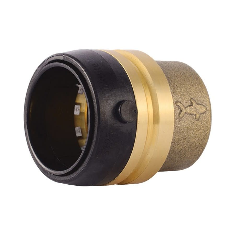 Cap, 1-1/4 in, Push, Brass