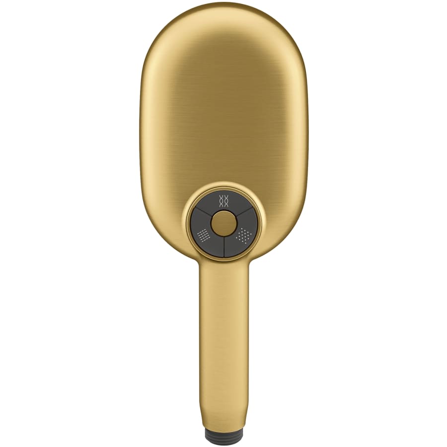 Statement 1.75 GPM Multi Function Hand Shower with MasterClean Sprayface and Katalyst Air Induction Technology