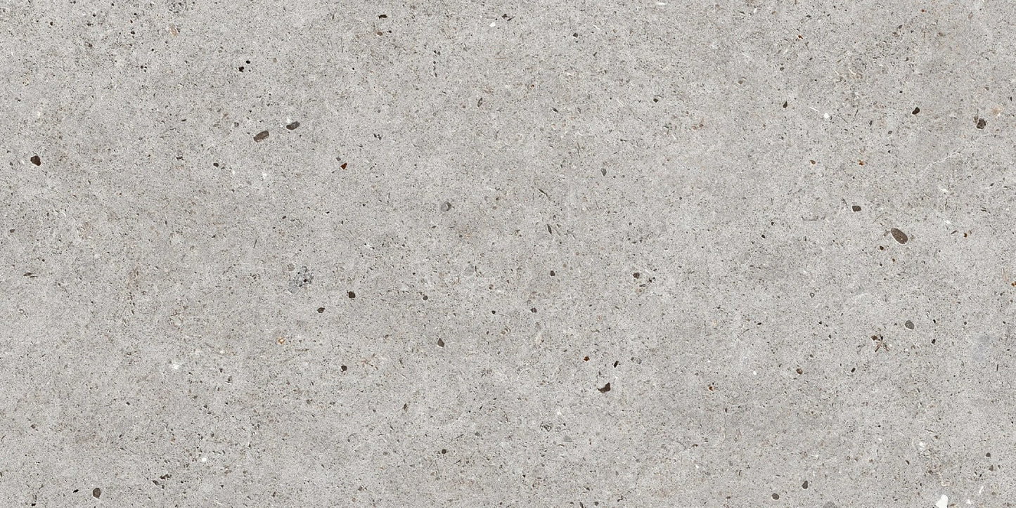 STONE BASEL GRIS 24x48R