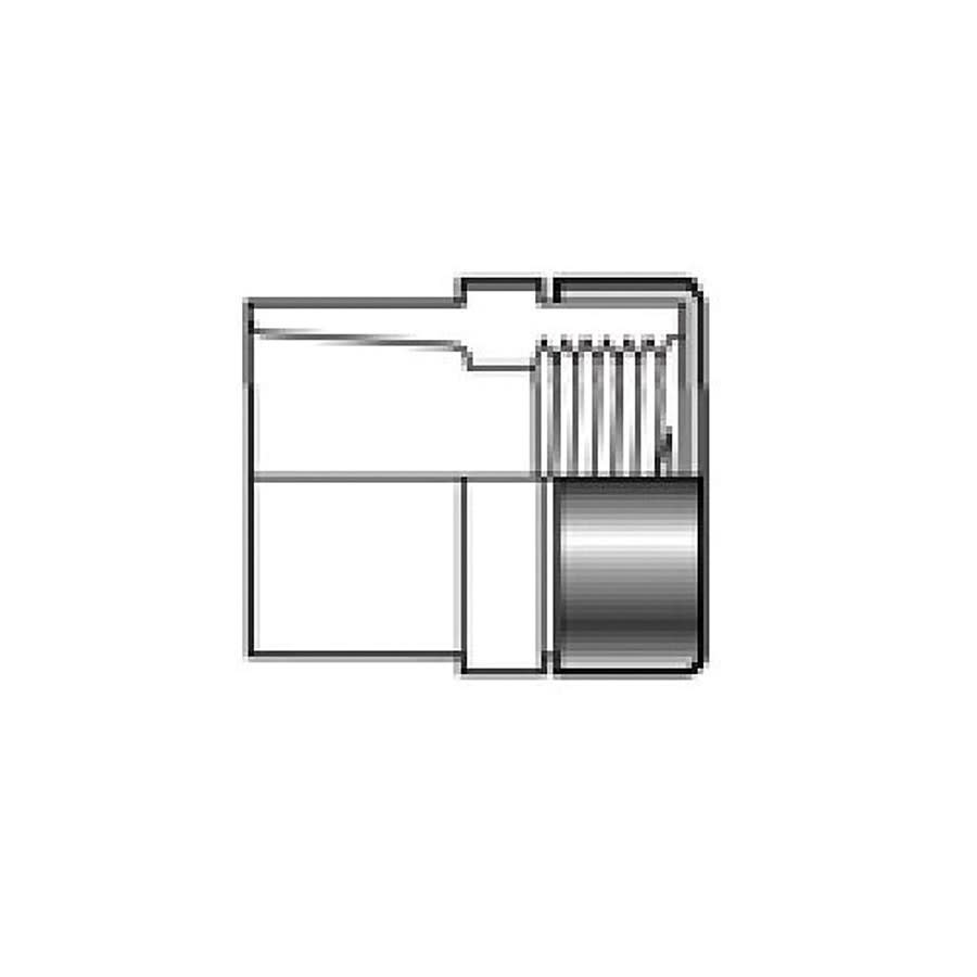 Female Adapter, 2 in, Socket x FNPT, SCH 40/STD, PVC