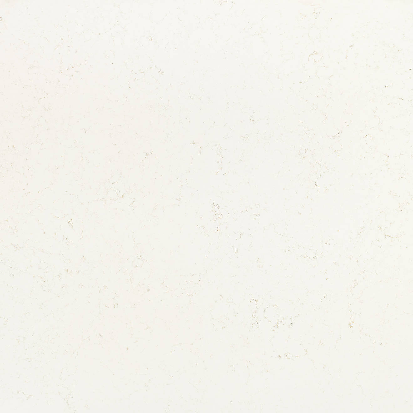 Carrara Bellezza