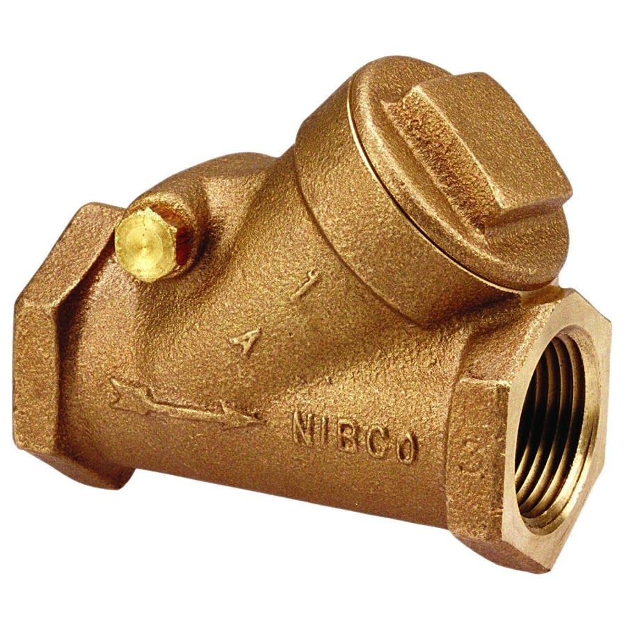 Swing Check Valve, 1 in, FNPT, Bronze