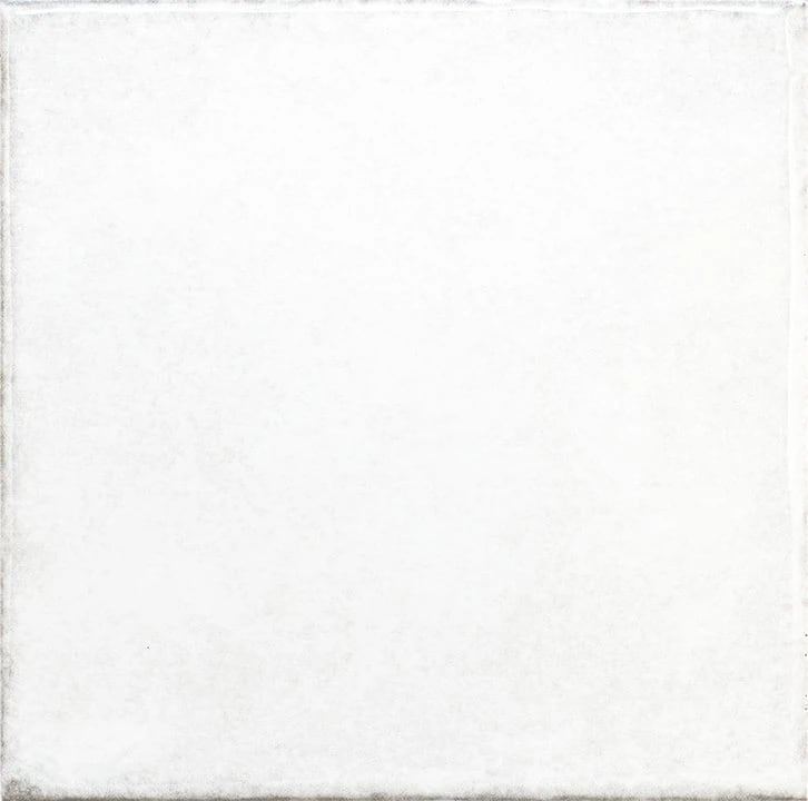 OLARIA WHITE 6x6