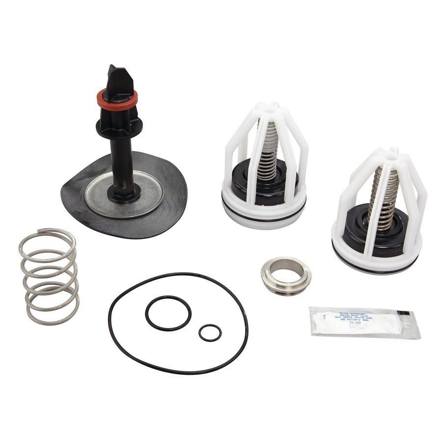 RK 009M2-T, 2 in, Total Valve Repair Kit, For Use With Model LF009M2/009M2