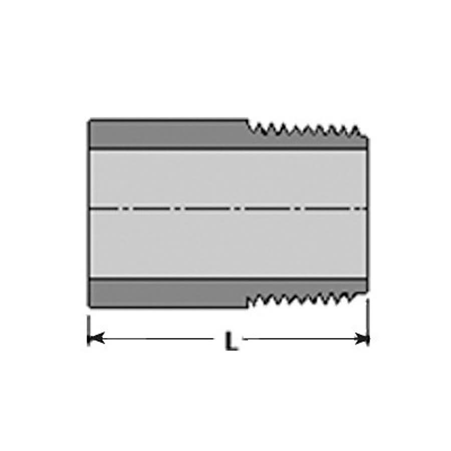 Nipple, 2-1/2 in, 6 in L, Plain x MNPT, PVC, SCH 80/XH