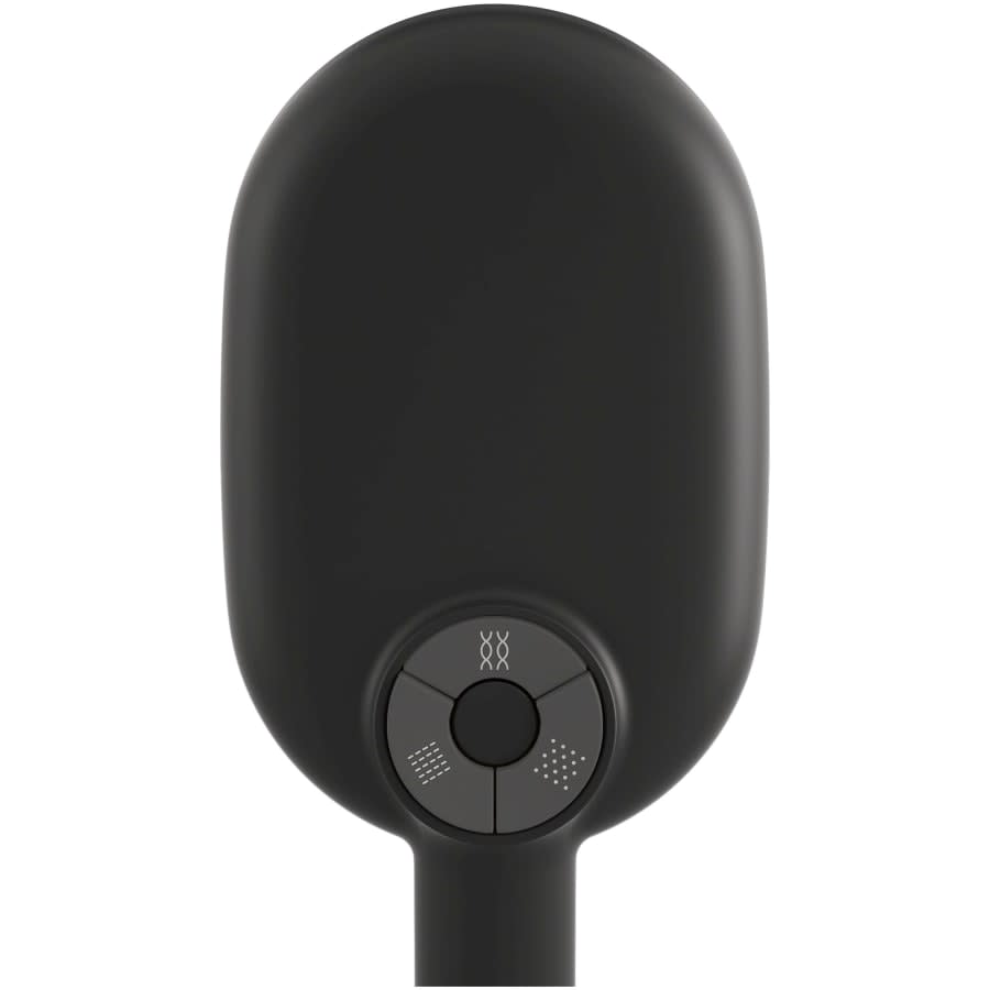 Statement 1.75 GPM Multi Function Hand Shower with MasterClean Sprayface and Katalyst Air Induction Technology