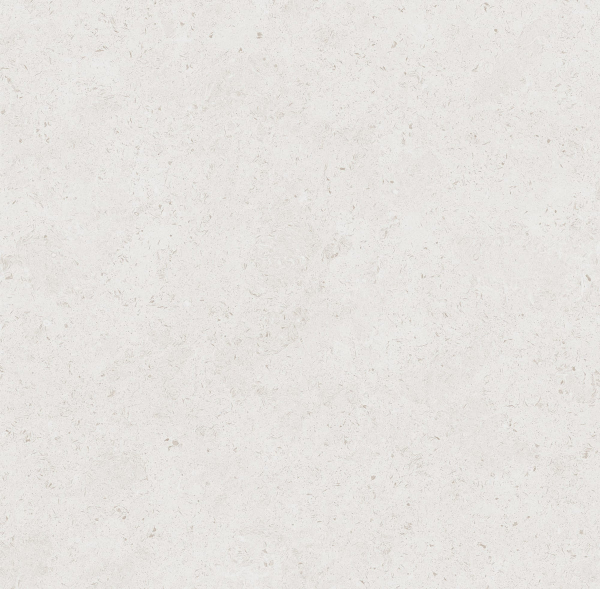 LIMESTONE WHITE 24X48