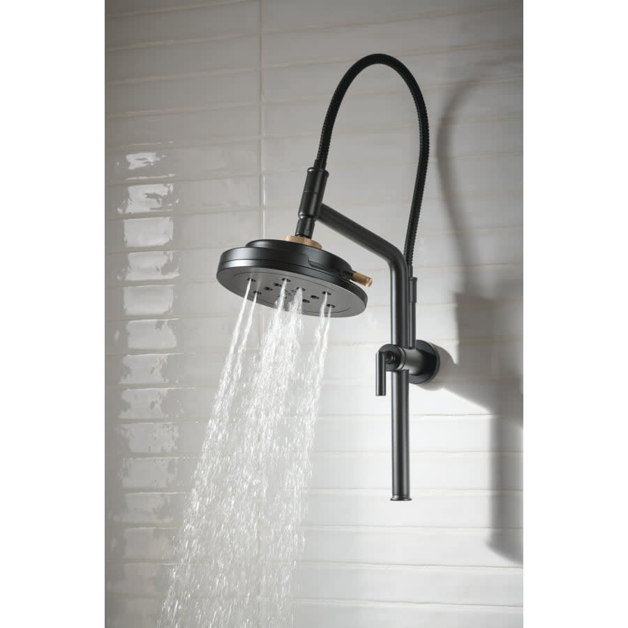 Litze 1.75 GPM Multi Function Shower Head
