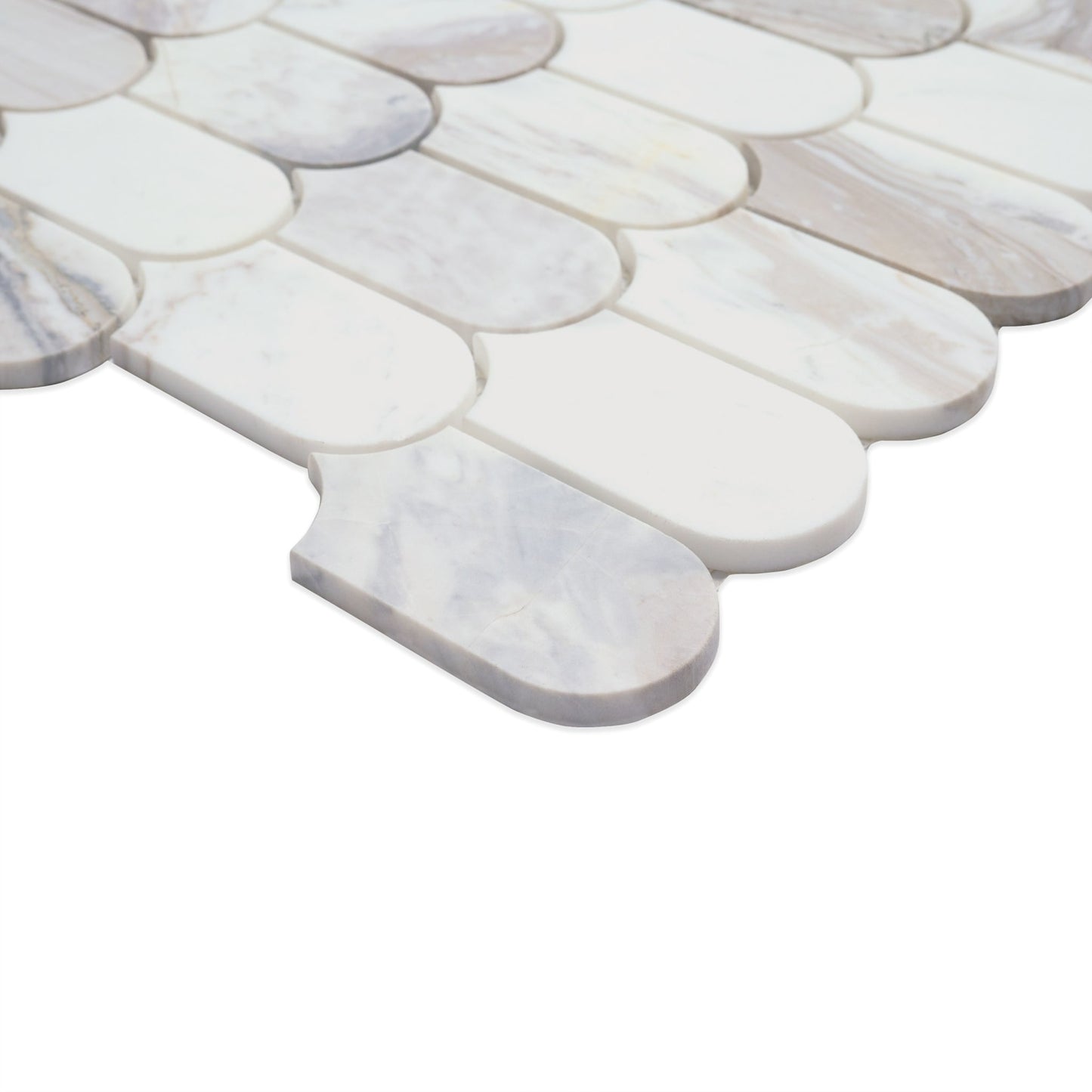 Edessa Scallop Polished
