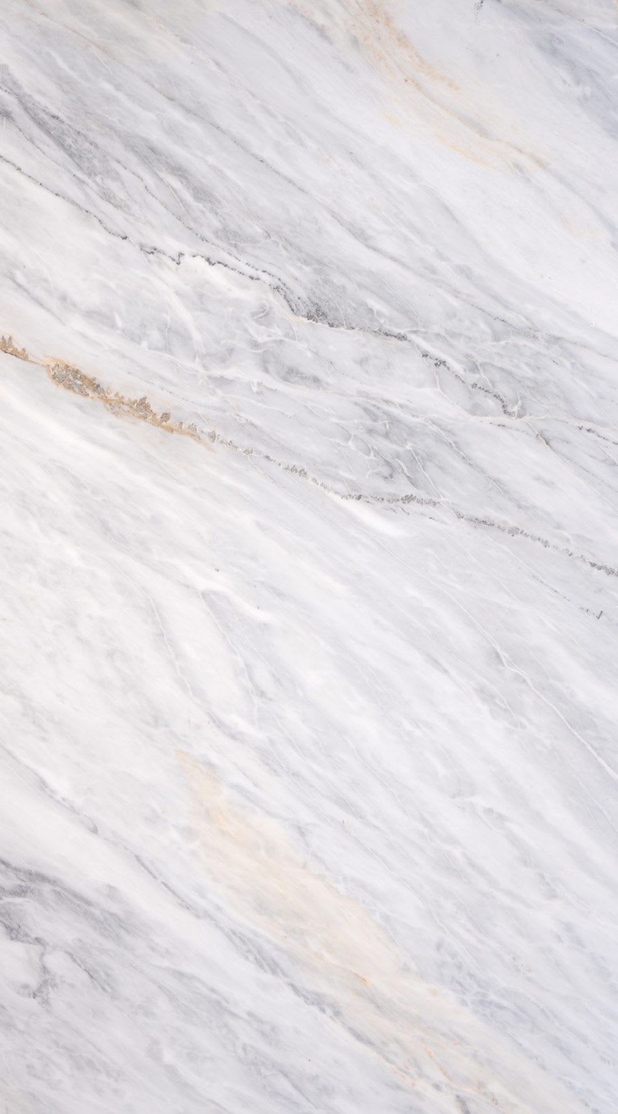 Storm White