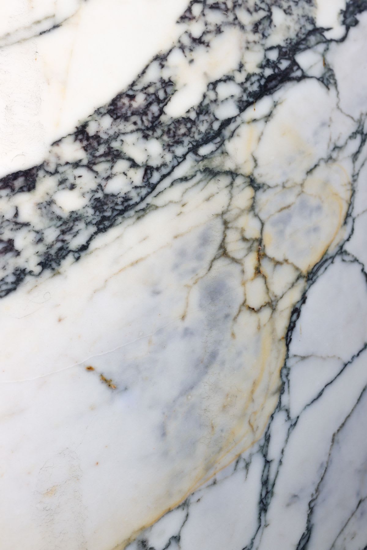 Calacatta Paonazzo Black