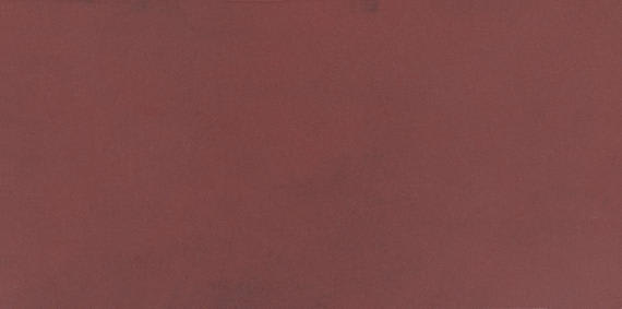 Color Story Wall Passion Rectangle 3X6 Glossy