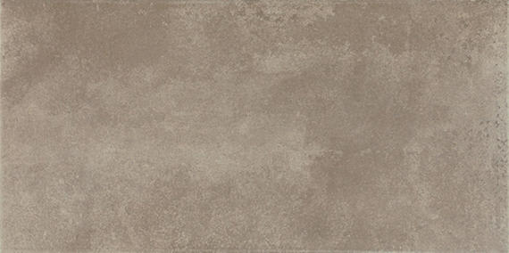 Emergent Pewter Rectangle 24X48 Polished