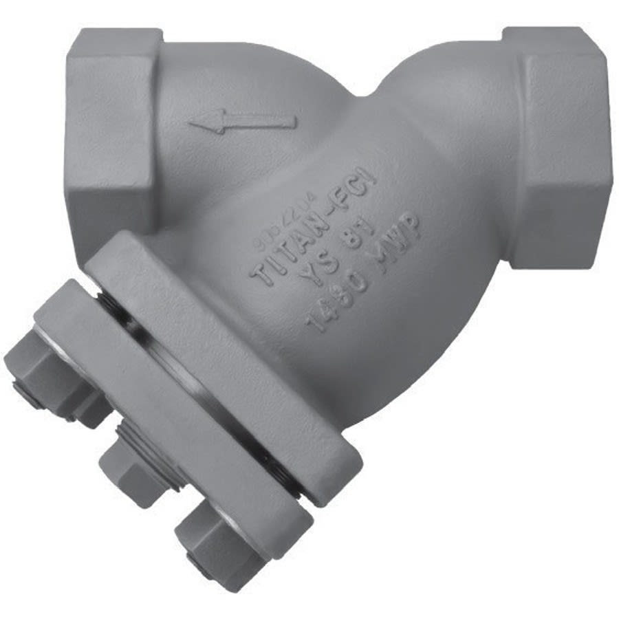 Strainer, 1/2 in, FNPT, Carbon Steel