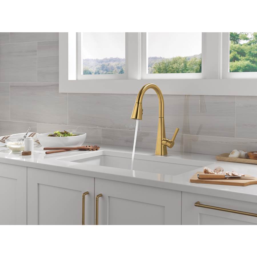 Lenta Single-Handle Pull-Down Kitchen Faucet with ShieldSpray