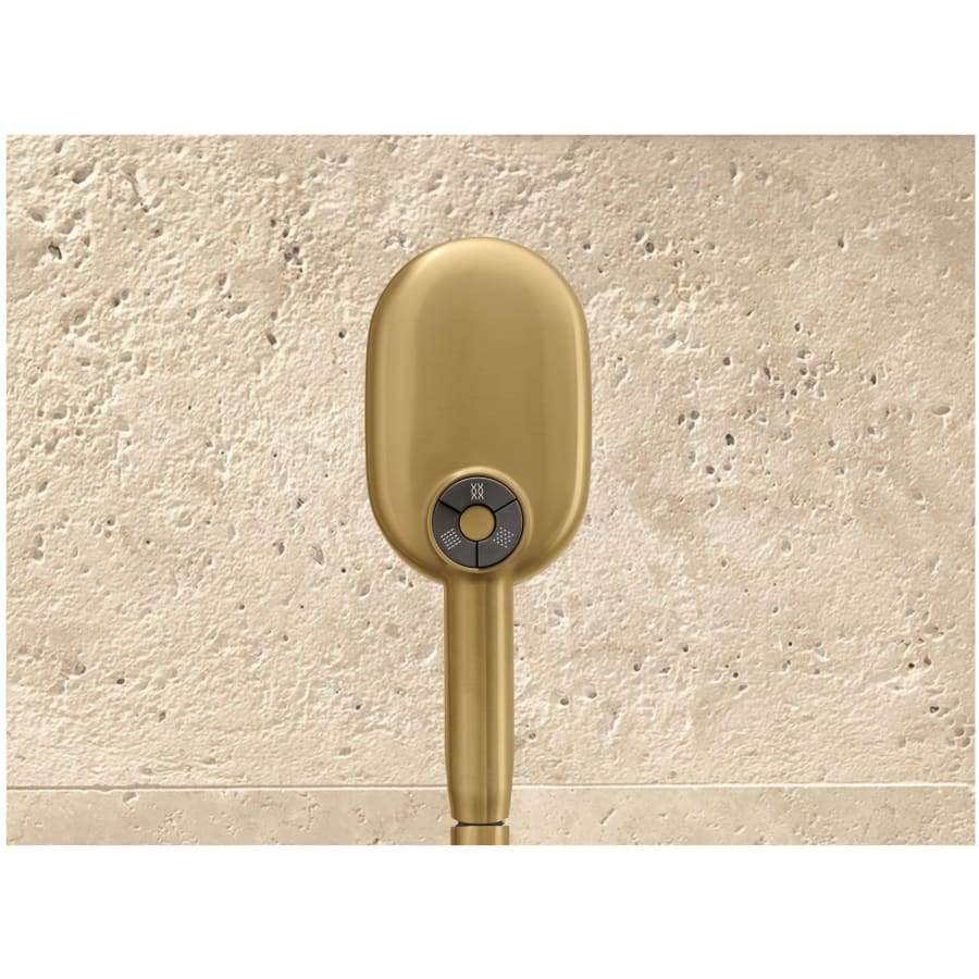 Statement 1.75 GPM Multi Function Hand Shower with MasterClean Sprayface and Katalyst Air Induction Technology