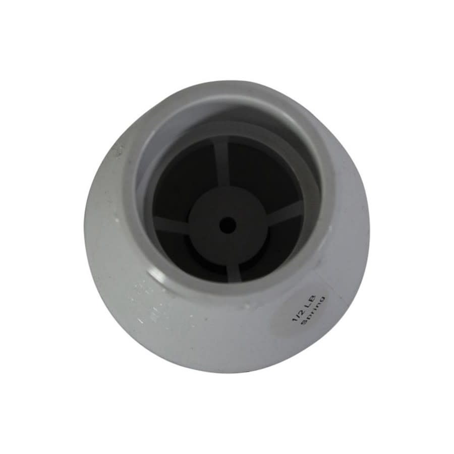 Spring Check Valve, 1-1/4 in, Socket, PVC