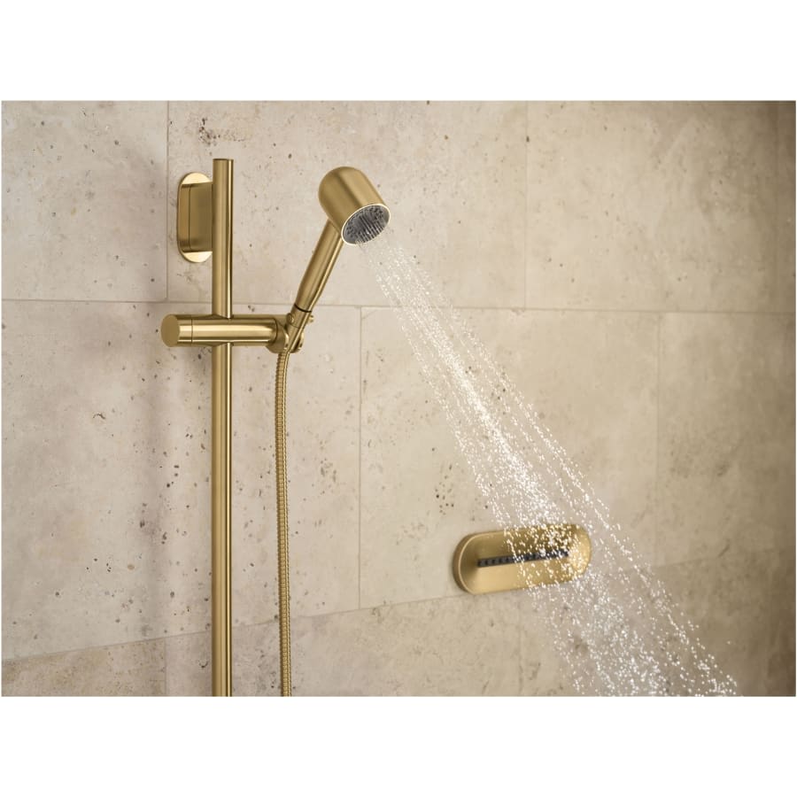 Statement 2.5 GPM Single Function Hand Shower with MasterClean Sprayface