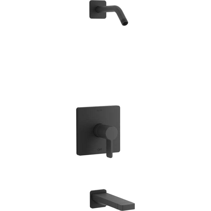 Parallel Tub and Shower Trim Package Shower Head