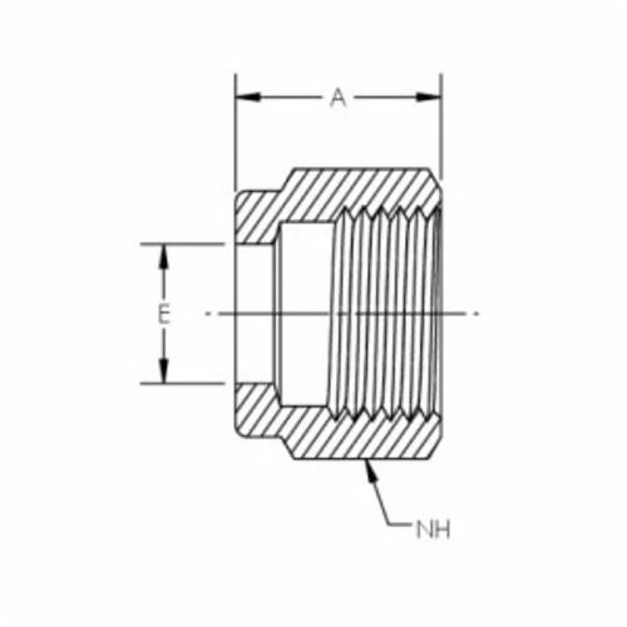 Nut, 1/4 in, Comp, 316/316L Stainless Steel