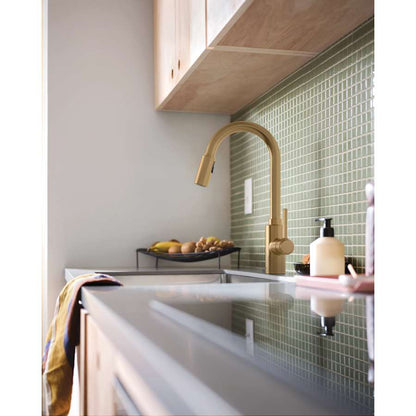 Genta LX Pull-Down Spray Kitchen Faucet with PowerClean Technology