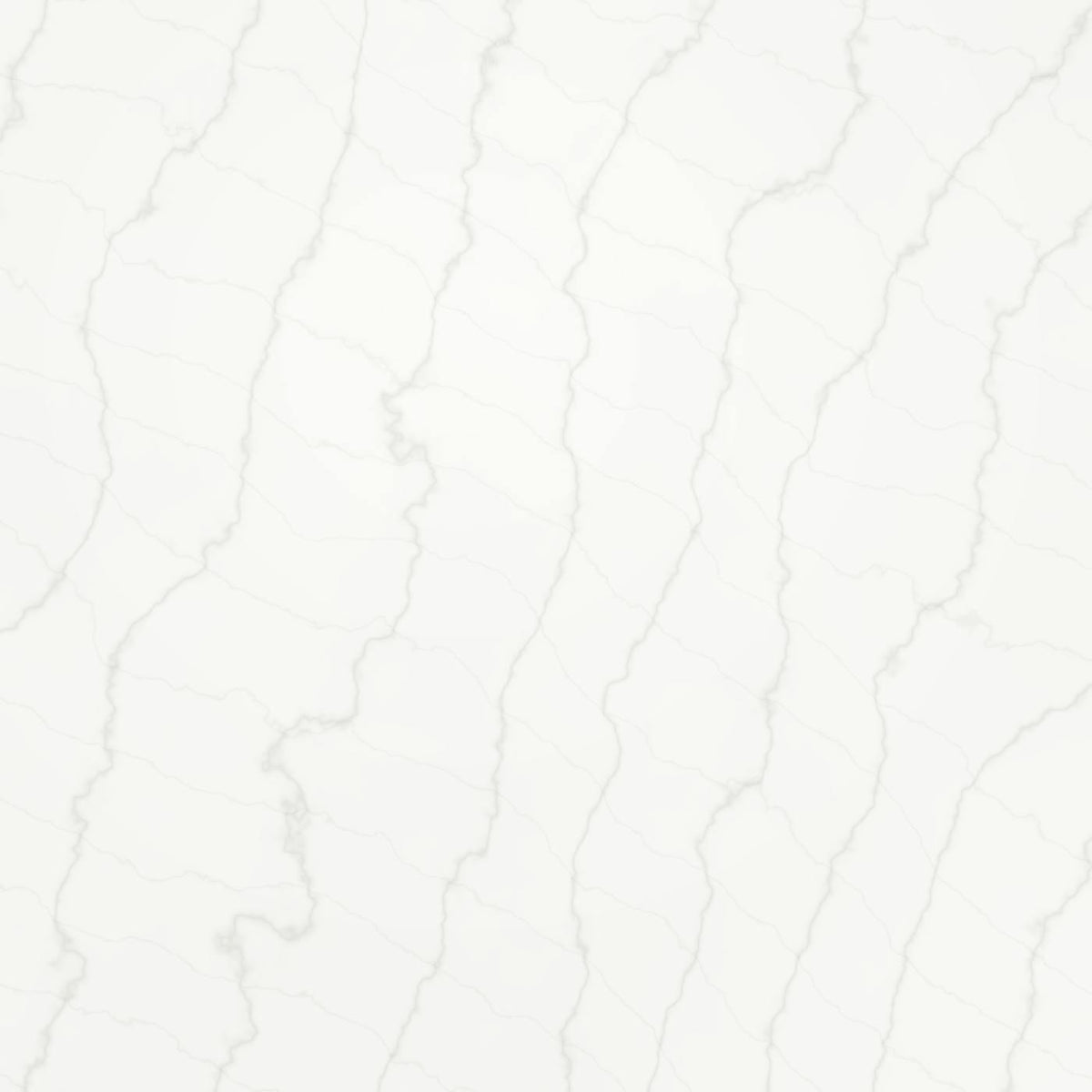 Absolute White