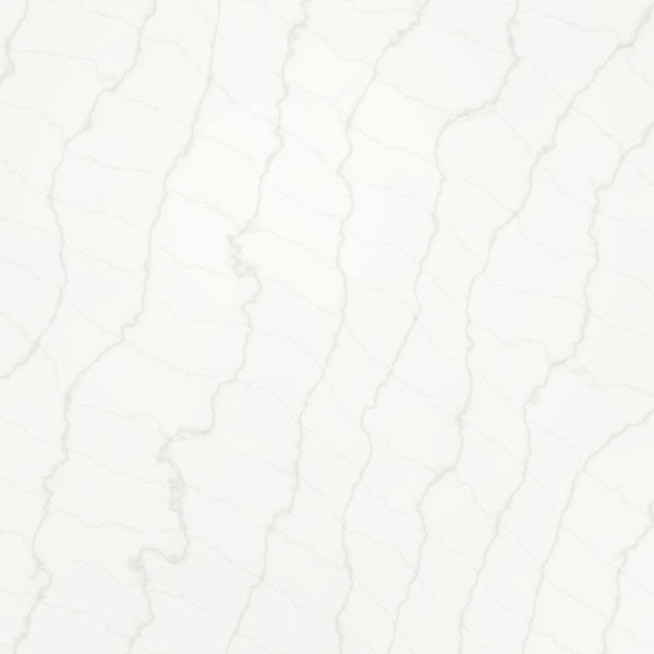 Absolute White