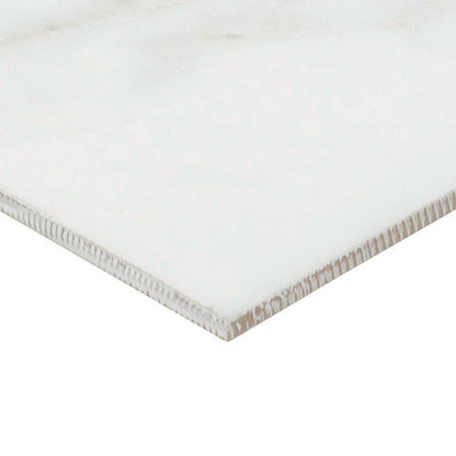 Platinum Magnolia Rectangle 6X18 Glossy