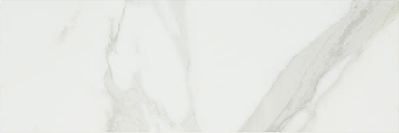 Platinum Magnolia Square 24X24 Matte