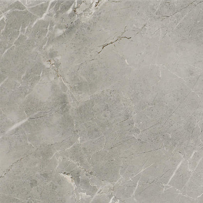 Platinum Dove Rectangle 6X18 Glossy
