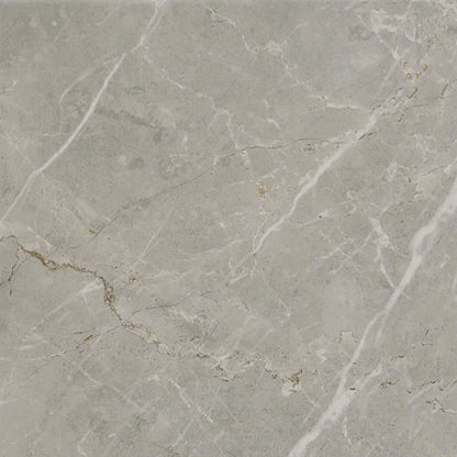 Platinum Dove Rectangle 6X18 Glossy