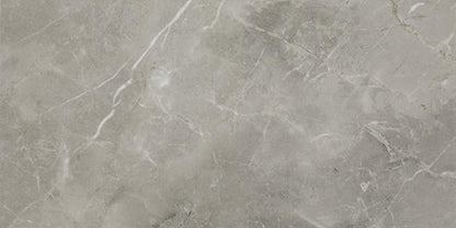 Platinum Dove Rectangle 6X18 Glossy