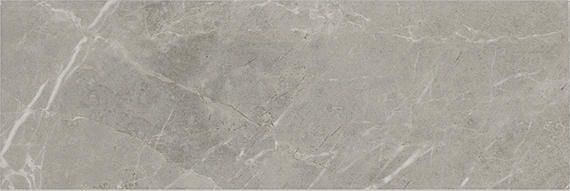 Platinum Dove Rectangle 6X18 Glossy