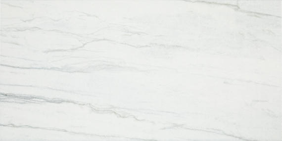Platinum Oyster Rectangle 6X18 Glossy