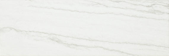 Platinum Oyster Rectangle 6X18 Glossy