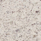 Ornamental Wht