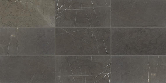 Marble Antico Scuro Rectangle 12X24 Polished