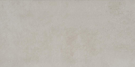 Platinum Grey Rectangle 12X24 Matte