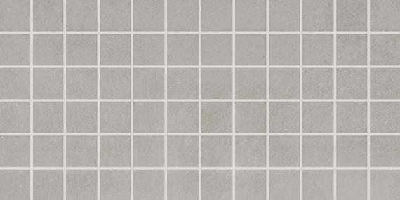 Platinum Grey Rectangle 12X24 Matte