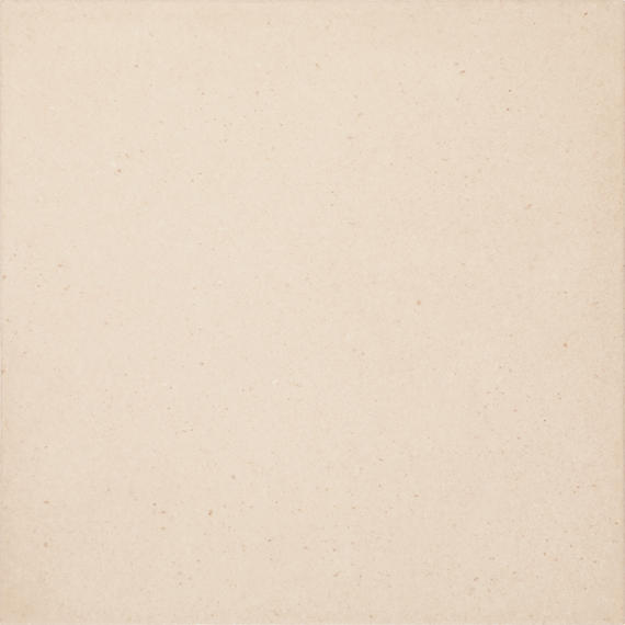 Basalto Pomice Rectangle 24X48 Matte