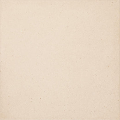 Basalto Pomice Rectangle 24X48 Matte