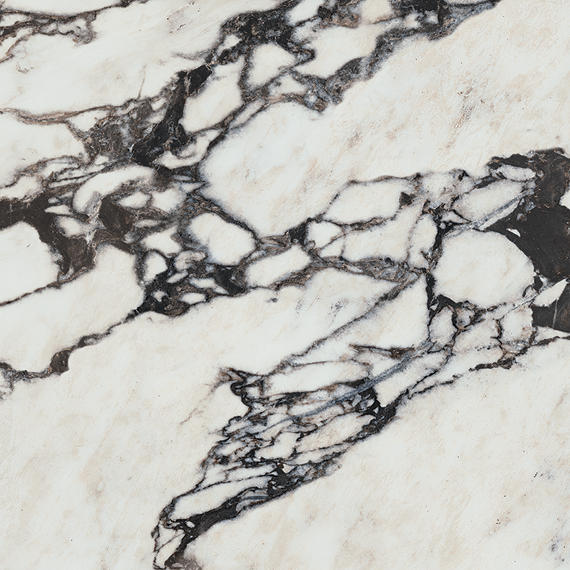 Savoir Noir Rectangle 24X48 Matte