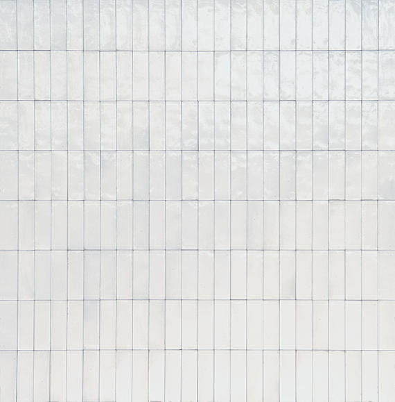Uniche Bianco Rectangle 24X48 Matte