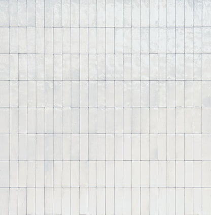 Uniche Bianco Rectangle 24X48 Matte