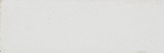 Uniche Bianco Rectangle 24X48 Matte
