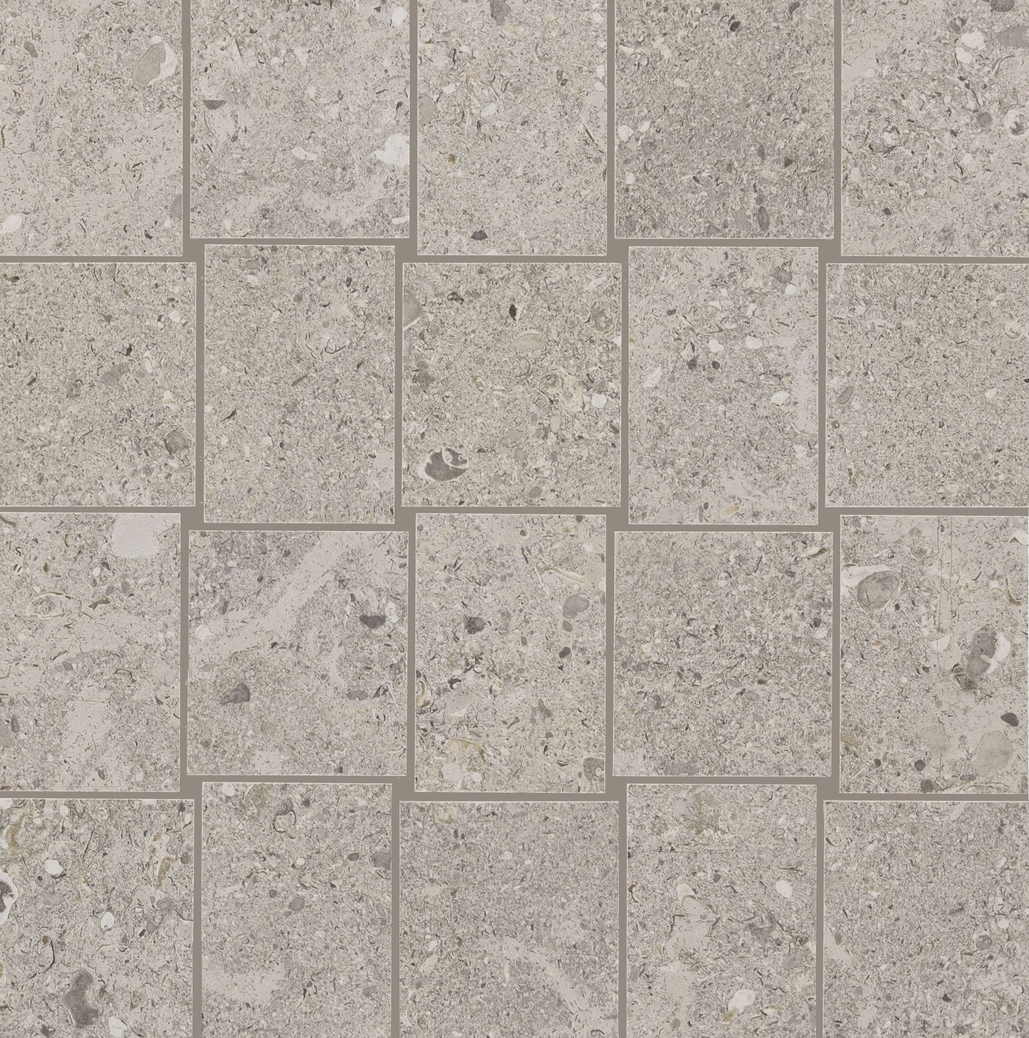 Dignitary Superior Taupe Rectangle 12X24 Matte