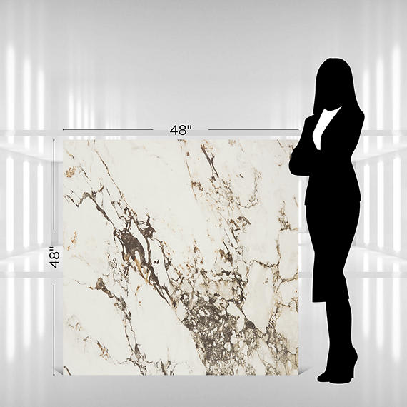 Panoramic Duet Calacatta Aries Square 48X48 Matte